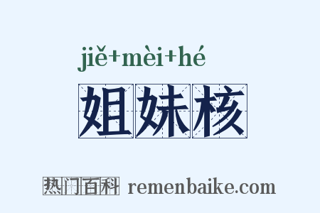姐妹核是什么意思的图片